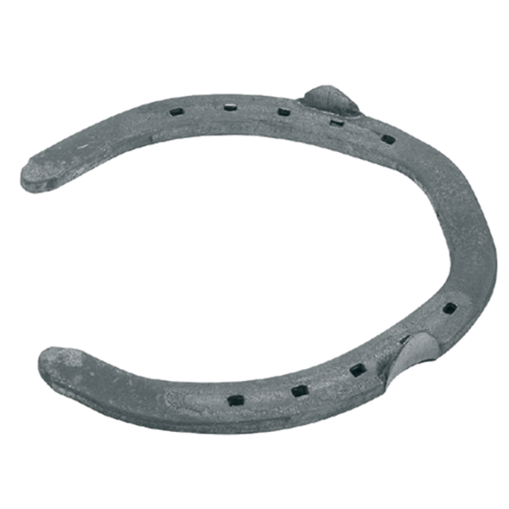 FERS Plat Trotteur POST (jusqu'à épuisement)