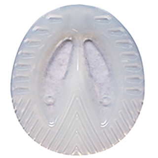 Fers Plastic Danois TCD