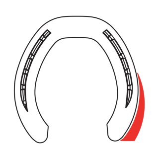 Module Ortho 7  EX Extension Latérale
