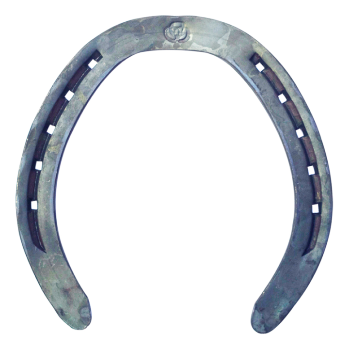 FERS Plat Trotteur POST (jusqu'à épuisement)