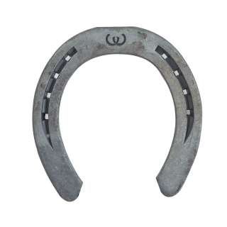 Fers Werkman type striker