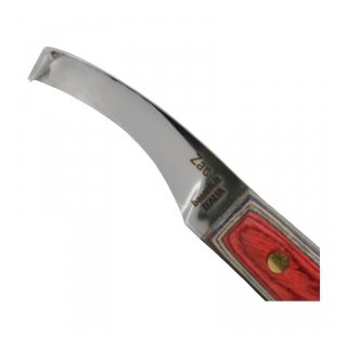 Renette Bassoli ZAC droite