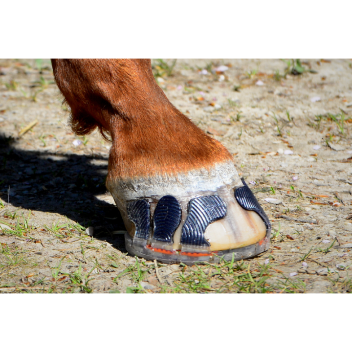 Paire de Manchettes RB Carbon à coller