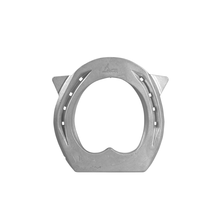 Fers ACR Planche Posterieur T 2140