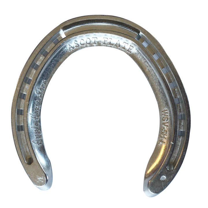 PHXSFTFers alu APPLE WSR