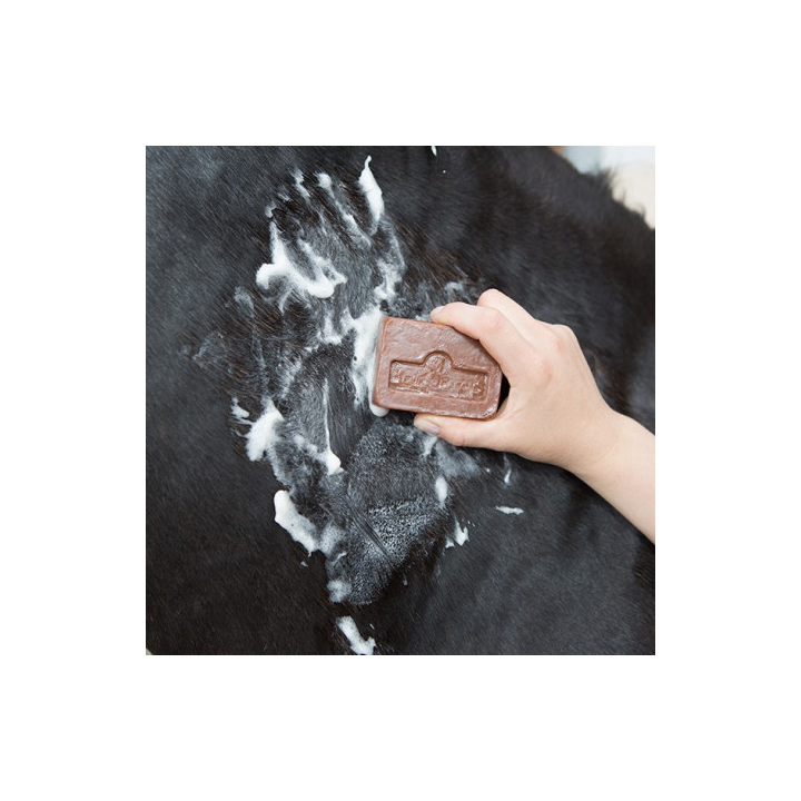 Pain de savon - KEVIN BACON