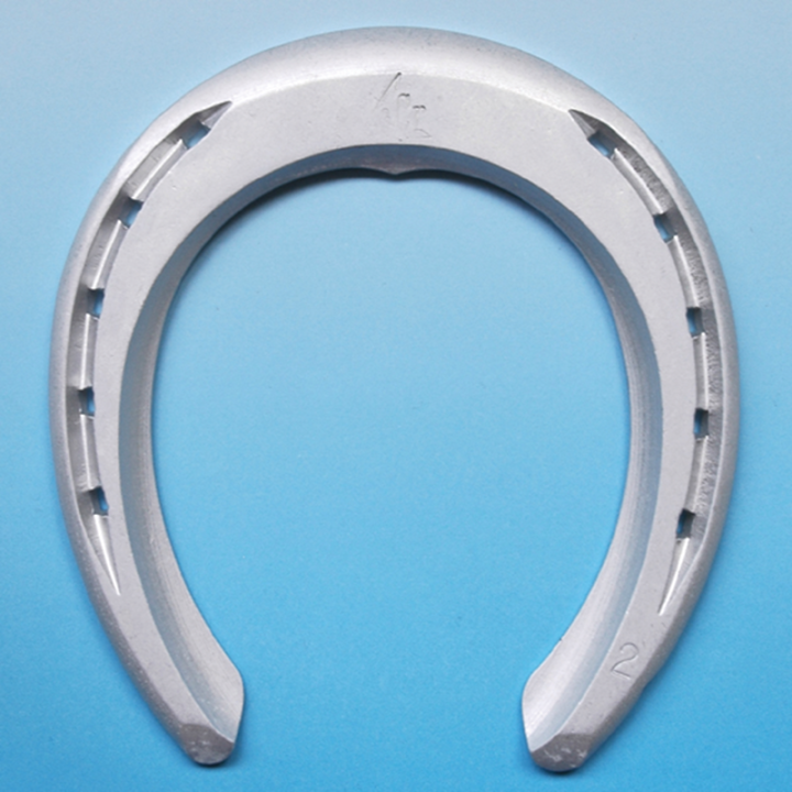 Fers ACR Trotteur AG3 RS T1020